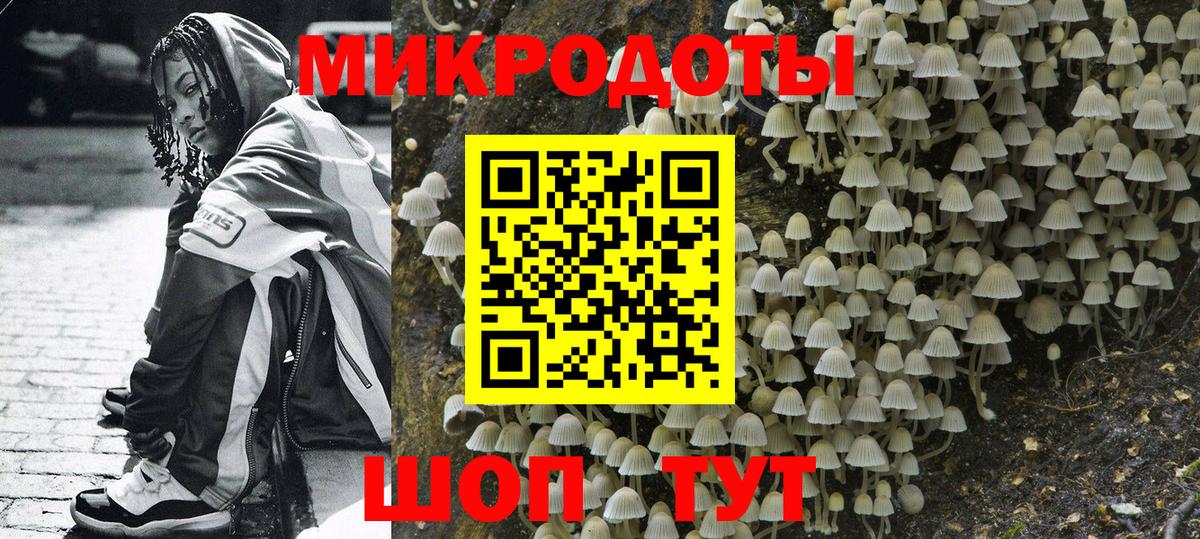 Кисловодск  Псилоцибиновые грибы Magic Shrooms  Вход с VPN 